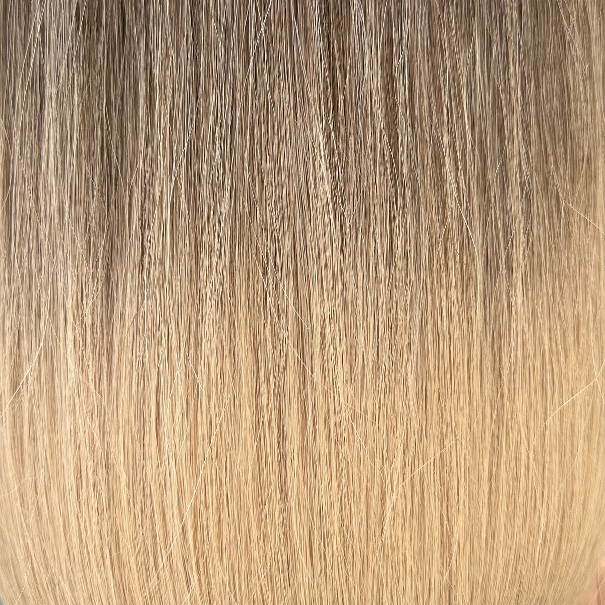 Hair in Bulk-Rooted Ash Beige Blonde